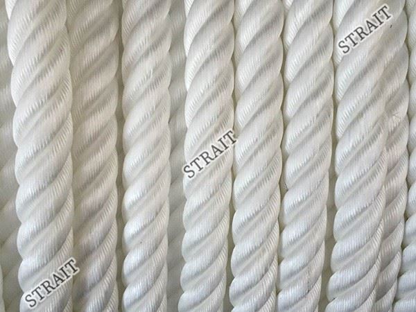 Artwork For Polypropylene Bags